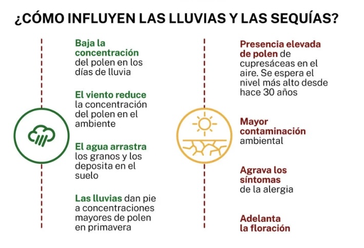 Sin_título.jpg