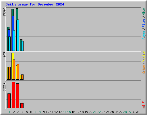 Daily usage for December 2024