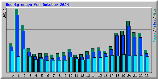 Hourly usage for October 2024