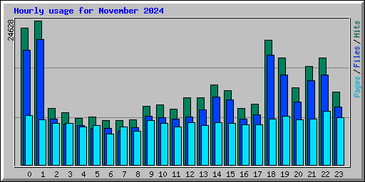 Hourly usage for November 2024