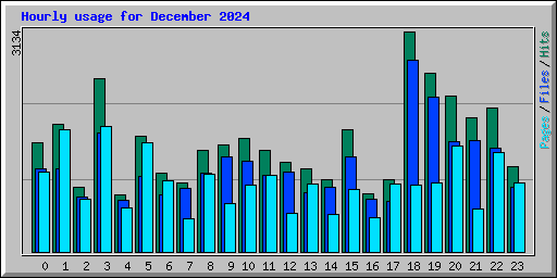 Hourly usage for December 2024